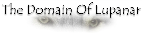 The Domain